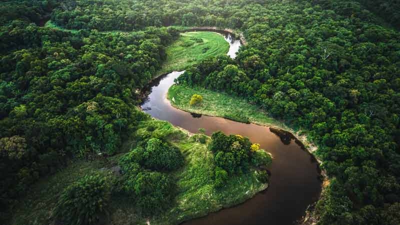 Aerial view of the Amazon river and rainforest